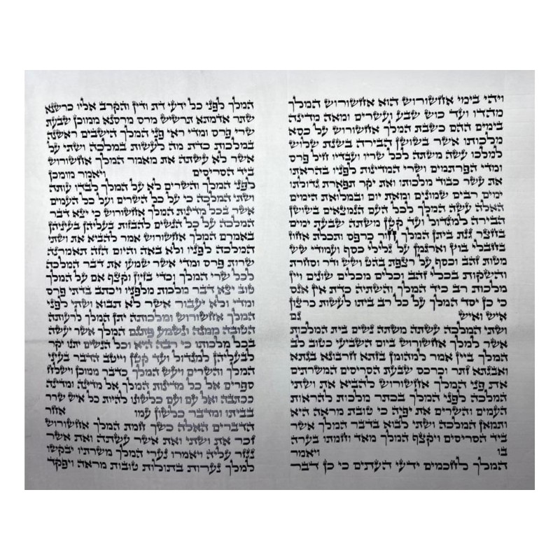 Megillat Esther Ashkenaz Beit Yosef Version - 14' / 37 cm (Mehadrin Ko