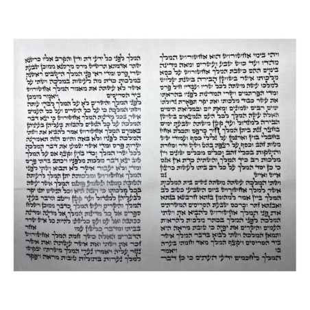 Megillat Esther Ashkenaz Beit Yosef Version - 14' / 37 cm (Mehadrin Ko