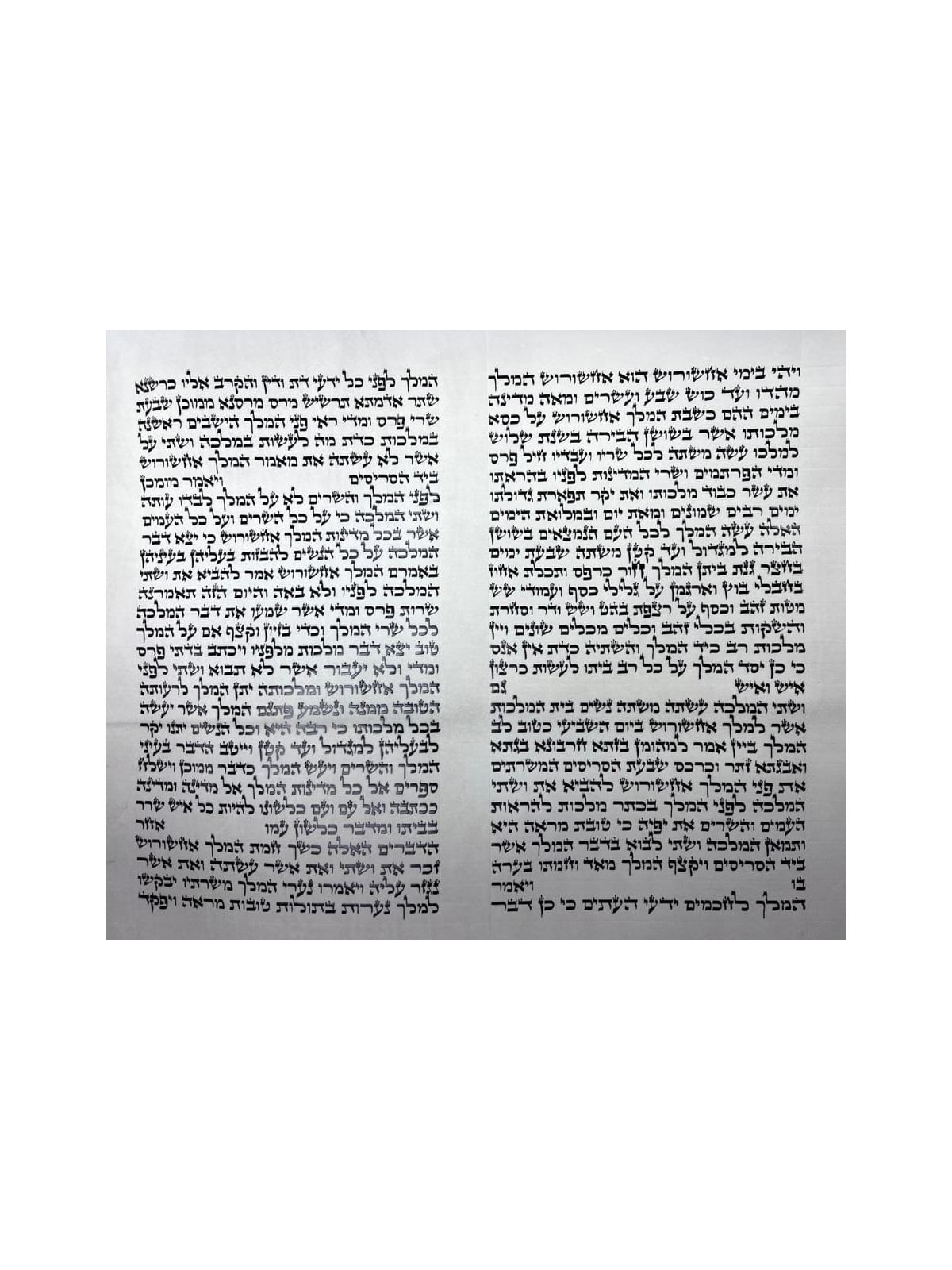 Megillat Esther Ashkenaz Beit Yosef Version - 14' / 37 cm (Mehadrin Ko