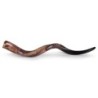 24'-26' Yemenite Kudu Shofar - Polished