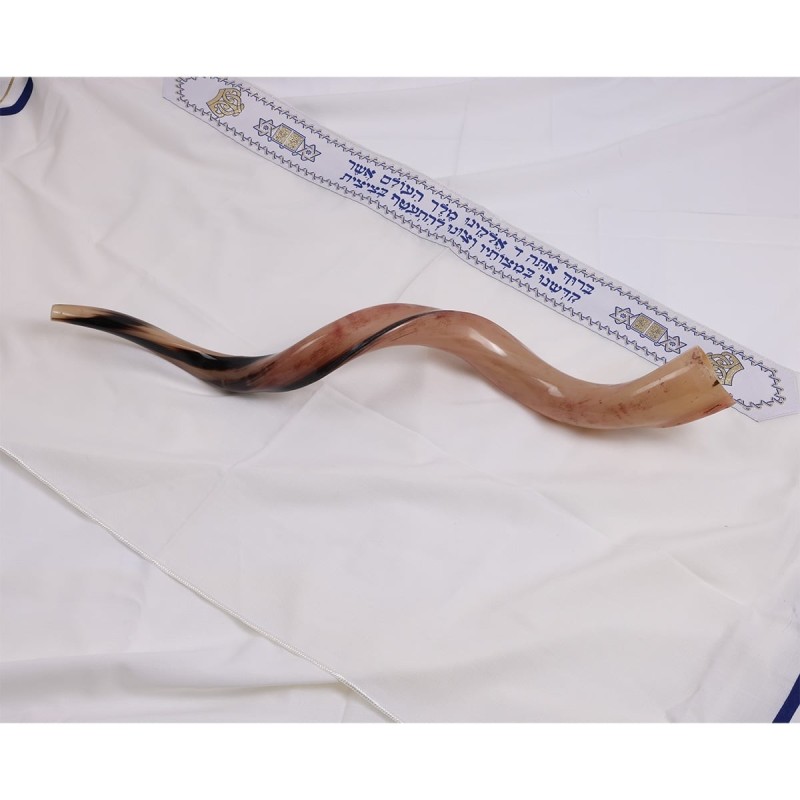 24'-26' Yemenite Kudu Shofar - Polished