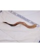 24'-26' Yemenite Kudu Shofar - Polished