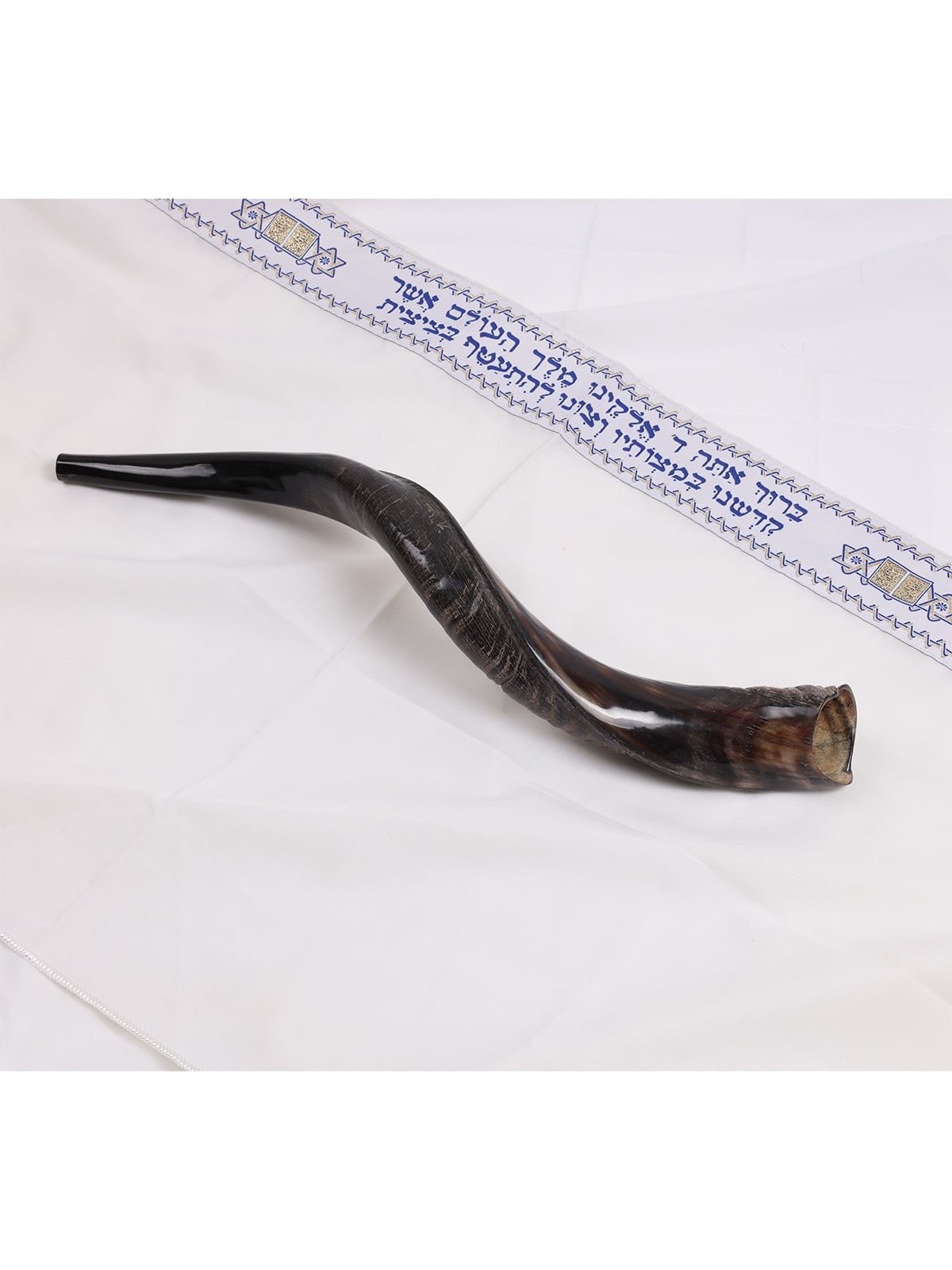 18'-20' Yemenite Kudu Shofar - Semi-Polished
