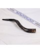 18'-20' Yemenite Kudu Shofar - Semi-Polished