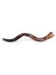 22'-24' Yemenite Kudu Shofar - Polished