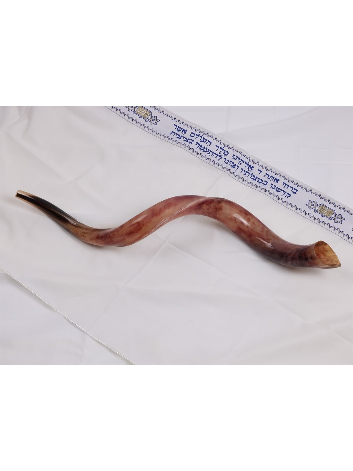 22'-24' Yemenite Kudu Shofar - Polished