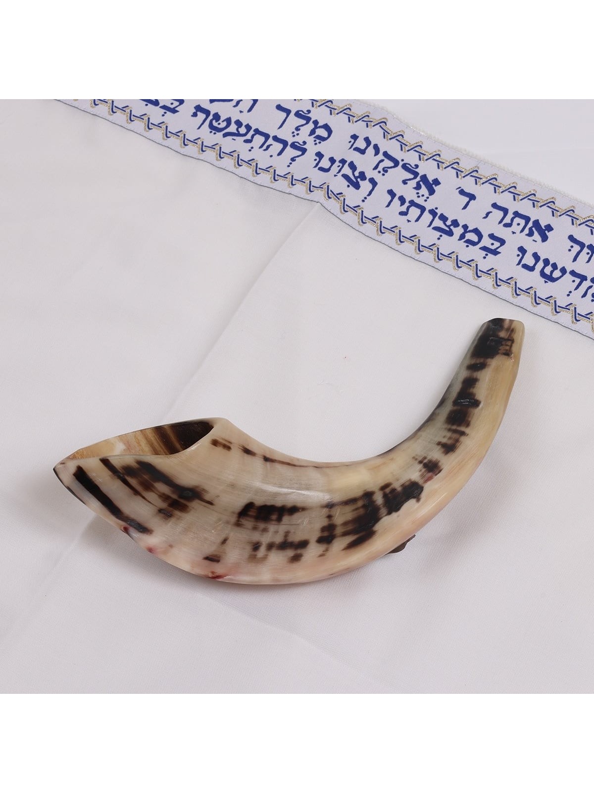 Kosher 12'-14' Classical Ram's Horn Shofar - Polished