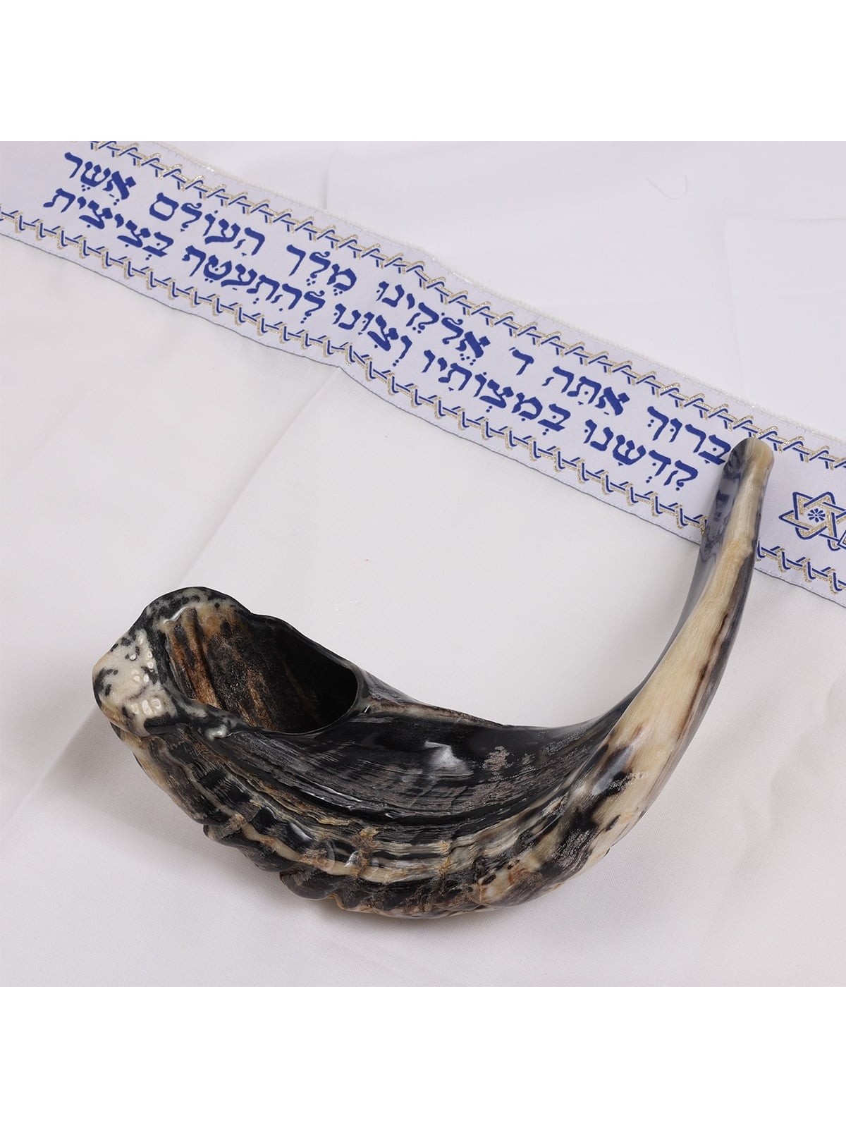 Kosher Classic Natural Ram's Horn Shofar 16'-18' / 40-45 cm