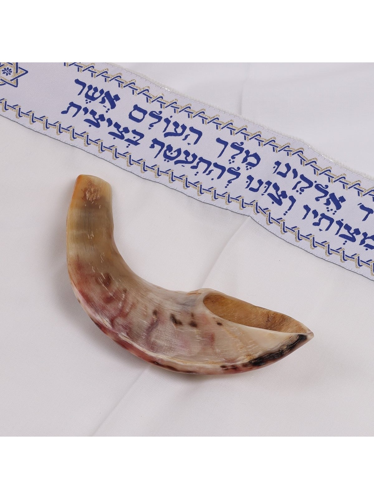 Kosher 10'-12' Classical Ram's Horn Shofar - Polished