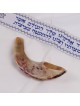 Kosher 10'-12' Classical Ram's Horn Shofar - Polished