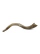 20'-22' Yemenite Kudu Shofar - Half Polished