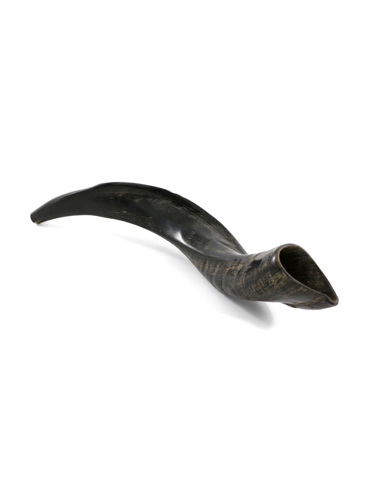 18'-20' Yemenite Kudu Shofar - Natural