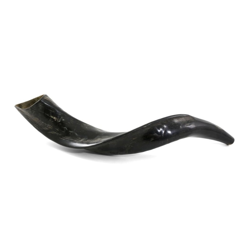 18'-20' Yemenite Kudu Shofar - Natural