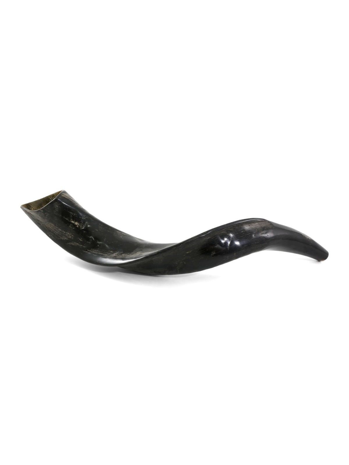 18'-20' Yemenite Kudu Shofar - Natural