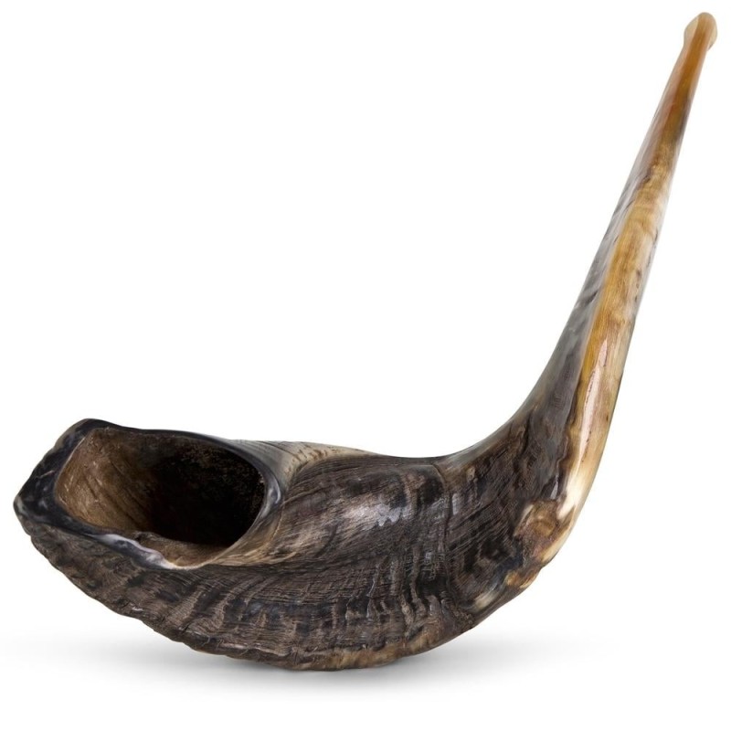 Kosher Classic Natural Ram's Horn Shofar 22'-24' / 55-61 cm