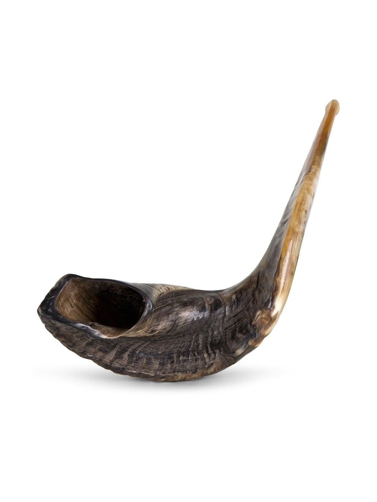 Kosher Classic Natural Ram's Horn Shofar 22'-24' / 55-61 cm