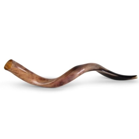 20'-22' Yemenite Kudu Shofar - Polished