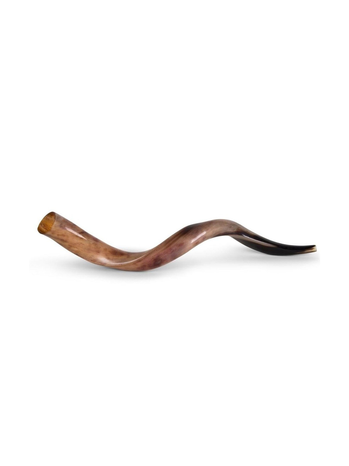 20'-22' Yemenite Kudu Shofar - Polished
