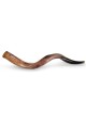 20'-22' Yemenite Kudu Shofar - Polished