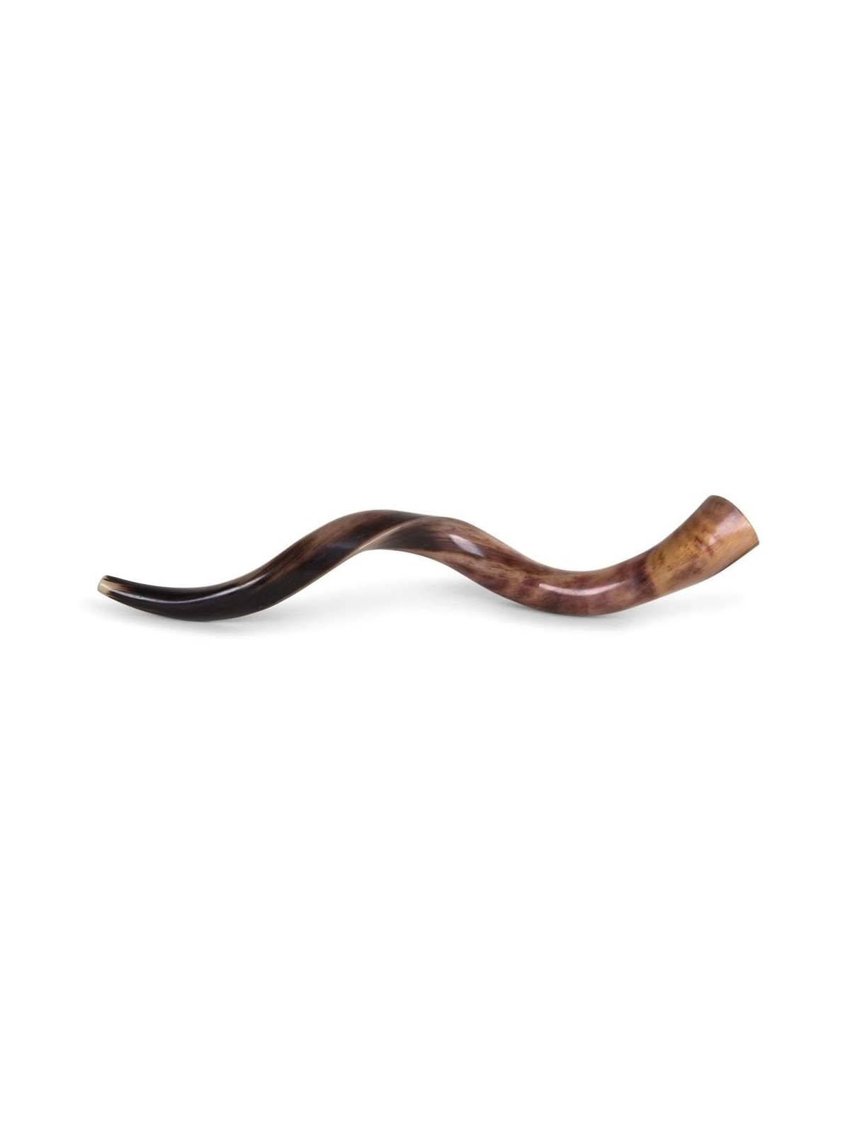 20'-22' Yemenite Kudu Shofar - Polished