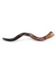 20'-22' Yemenite Kudu Shofar - Polished
