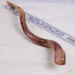20'-22' Yemenite Kudu Shofar - Polished