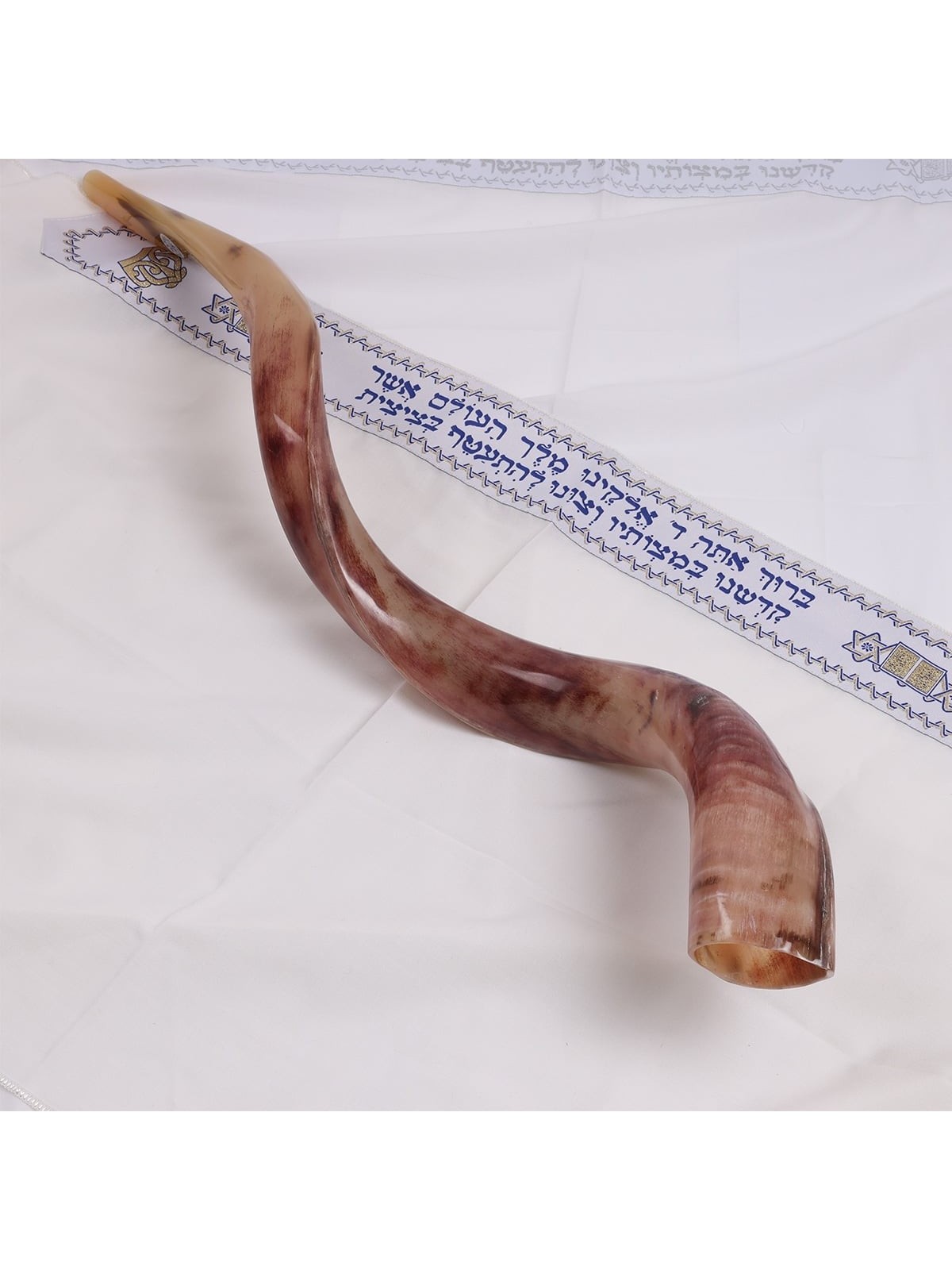 20'-22' Yemenite Kudu Shofar - Polished