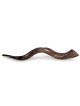 22'-24' Yemenite Kudu Shofar - Natural