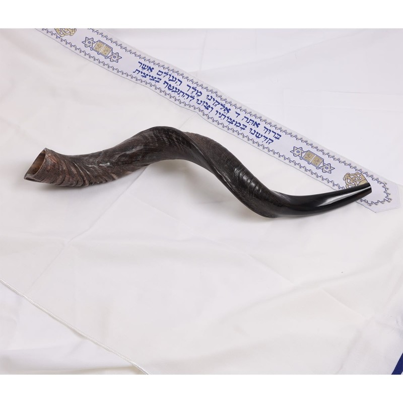 22'-24' Yemenite Kudu Shofar - Natural