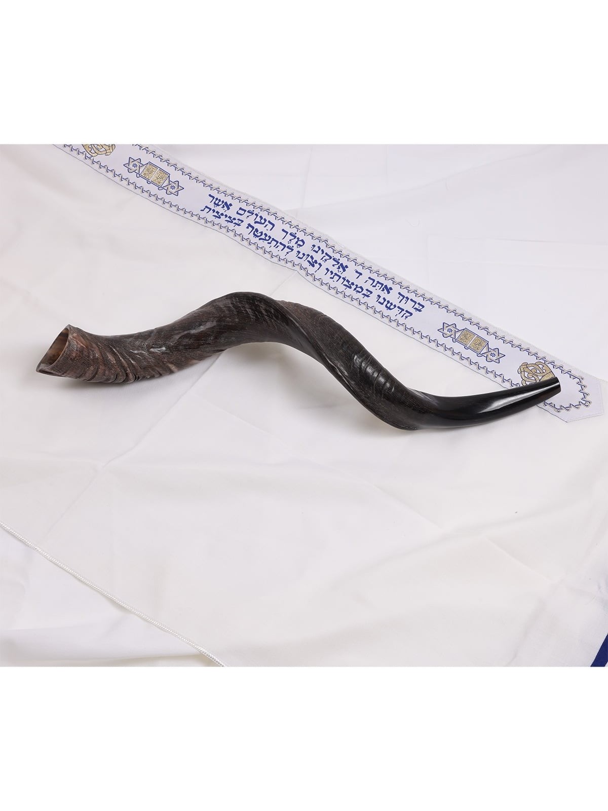 22'-24' Yemenite Kudu Shofar - Natural