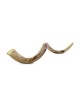 44'-46' Large Yemenite Kudu Shofar - Polished