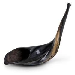 Kosher 14'-16' Classical Ram's Horn Shofar - Polished