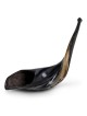Kosher 14'-16' Classical Ram's Horn Shofar - Polished