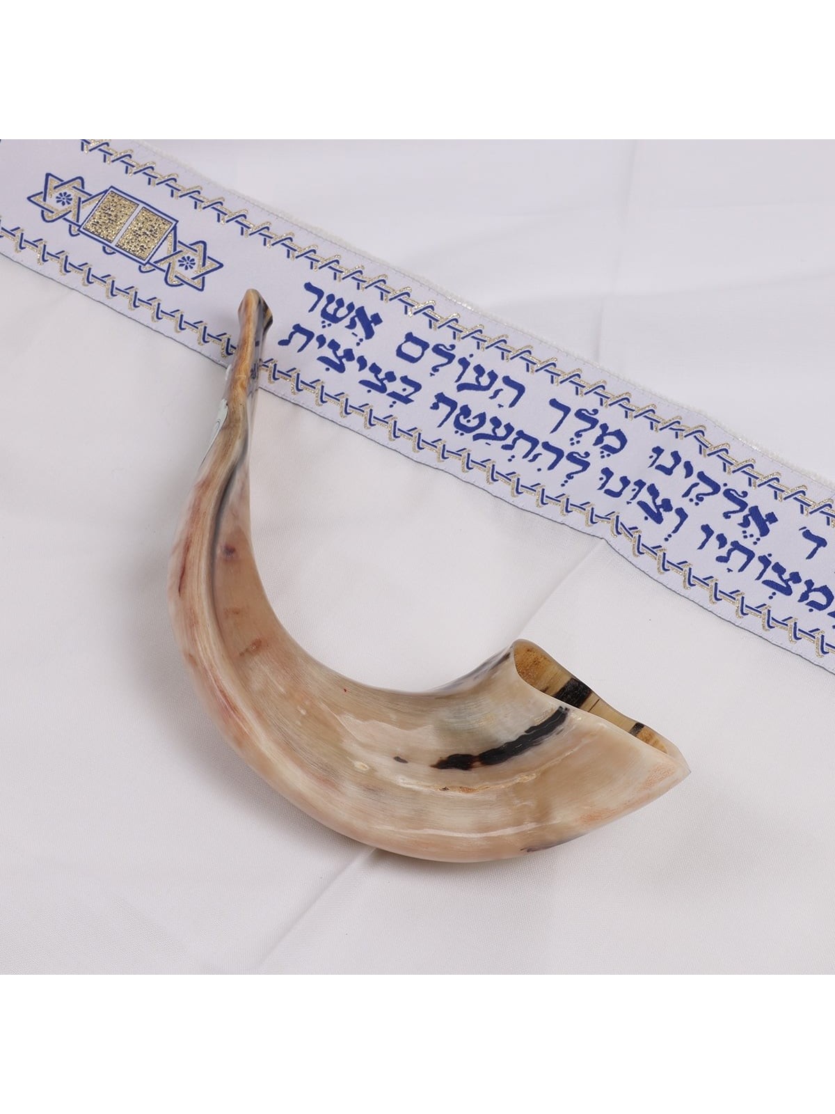 Kosher 14'-16' Classical Ram's Horn Shofar - Polished