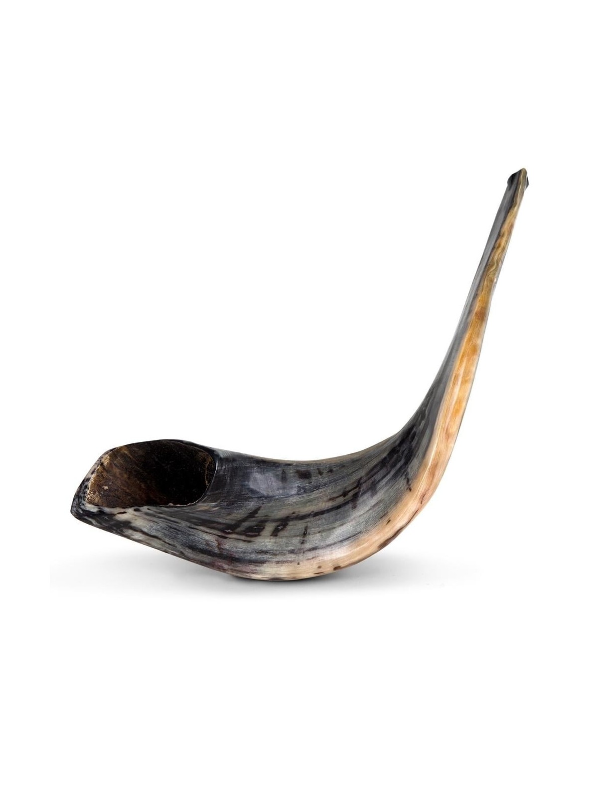 Kosher 20'-22' Classical Ram's Horn Shofar - Polished