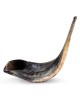 Kosher 20'-22' Classical Ram's Horn Shofar - Polished