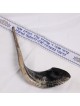 Kosher 20'-22' Classical Ram's Horn Shofar - Polished