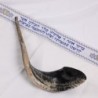 Kosher 20'-22' Classical Ram's Horn Shofar - Polished