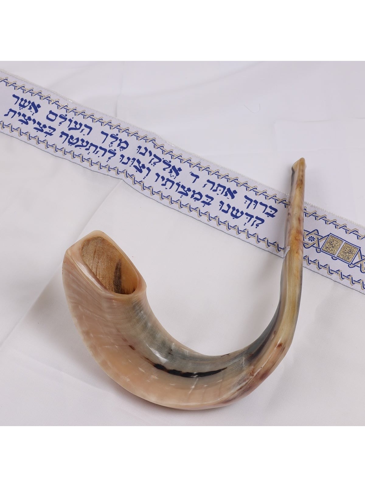 Kosher 20'-22' Classical Ram's Horn Shofar - Polished