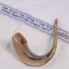 Kosher 20'-22' Classical Ram's Horn Shofar - Polished