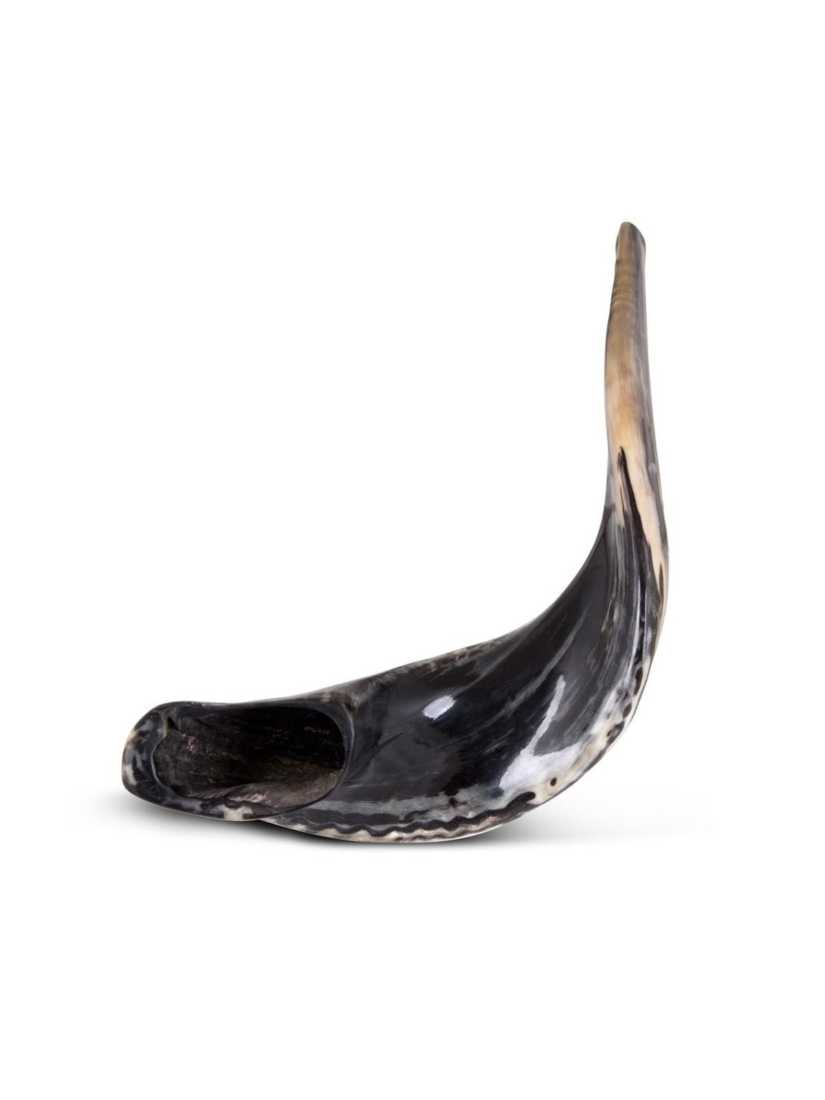 Kosher 24'-26' Classical Ram's Horn Shofar - Polished