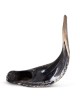 Kosher 24'-26' Classical Ram's Horn Shofar - Polished