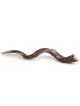 46'-48' Extra-Large Yemenite Kudu Shofar - Half-Polished