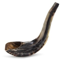Kosher 16'-18' Classical Ram's Horn Shofar - Polished
