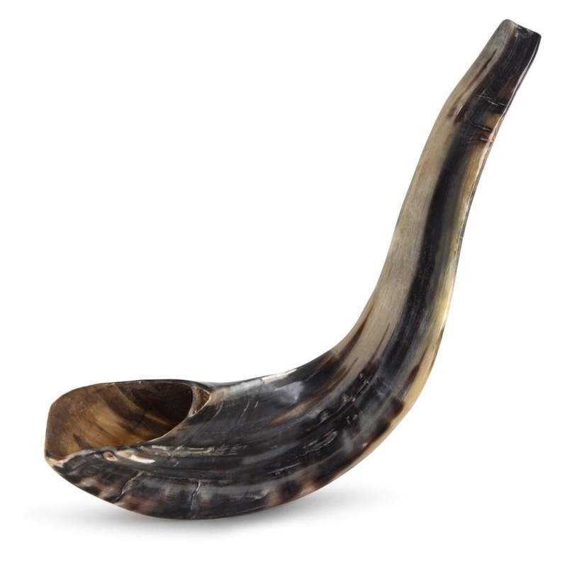 Kosher 16'-18' Classical Ram's Horn Shofar - Polished