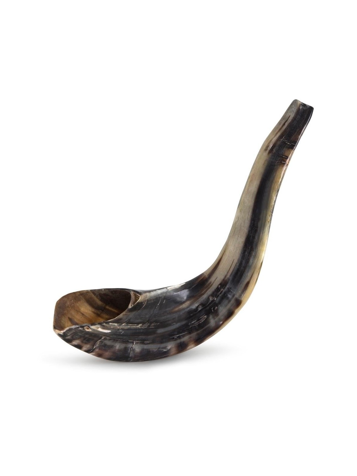 Kosher 16'-18' Classical Ram's Horn Shofar - Polished