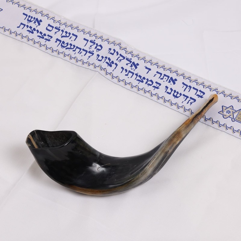 Kosher 16'-18' Classical Ram's Horn Shofar - Polished
