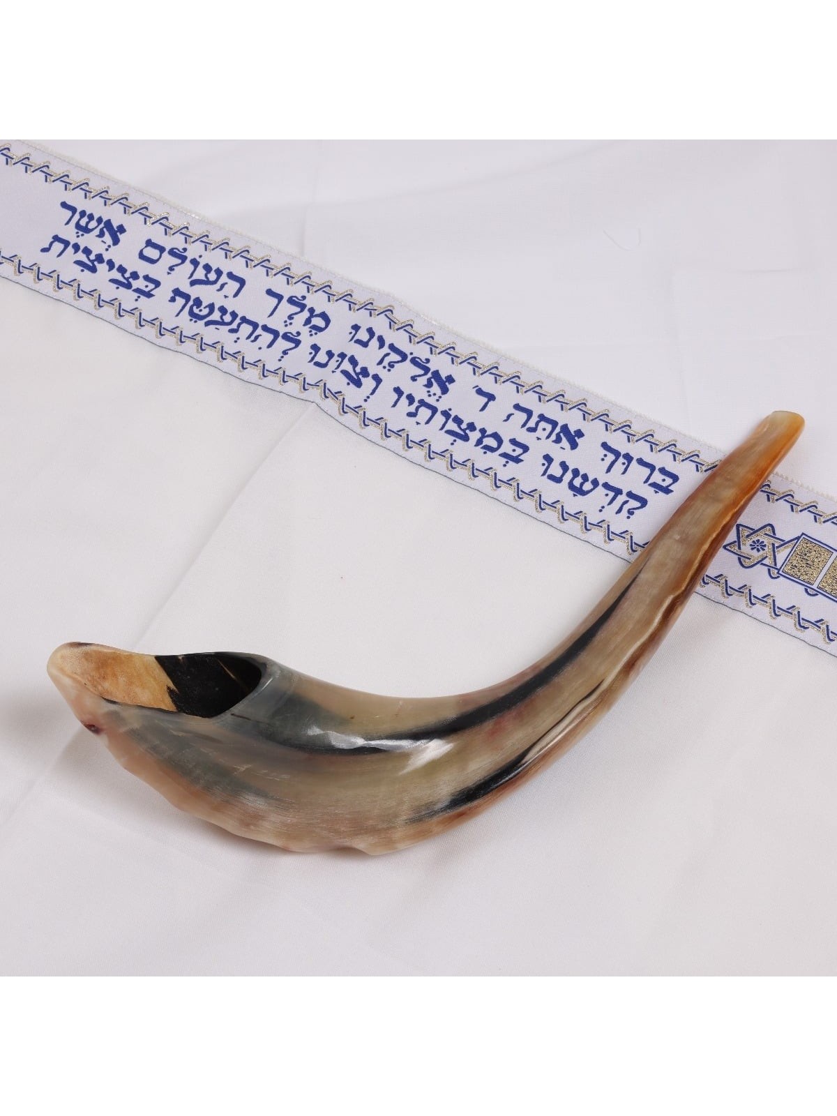 Kosher 18'-20' Classical Ram's Horn Shofar - Polished