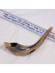 Kosher 18'-20' Classical Ram's Horn Shofar - Polished
