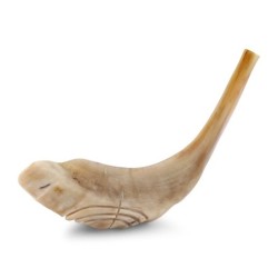 Kosher 16'-18' Ram's Horn Shofar With Menorah Engraving - Polished